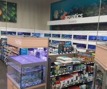 Petco
