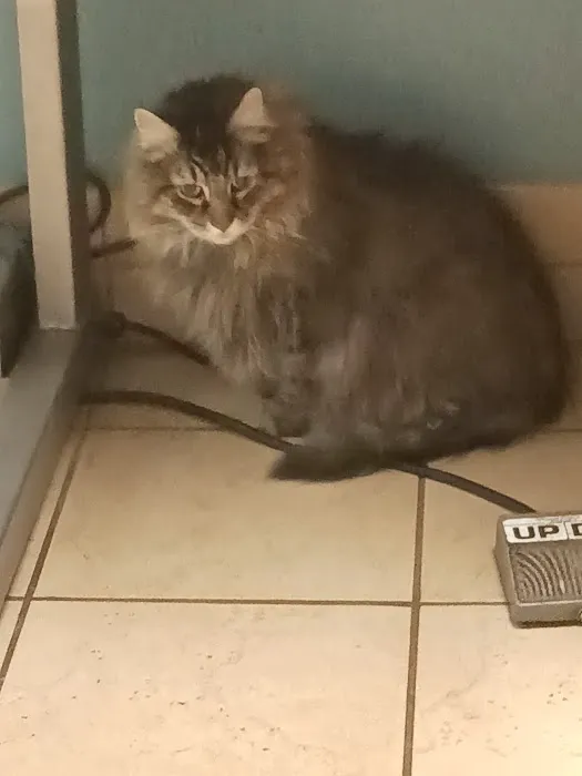Banfield Pet Hospital 12