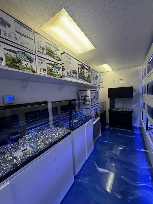 Fishy Business 9