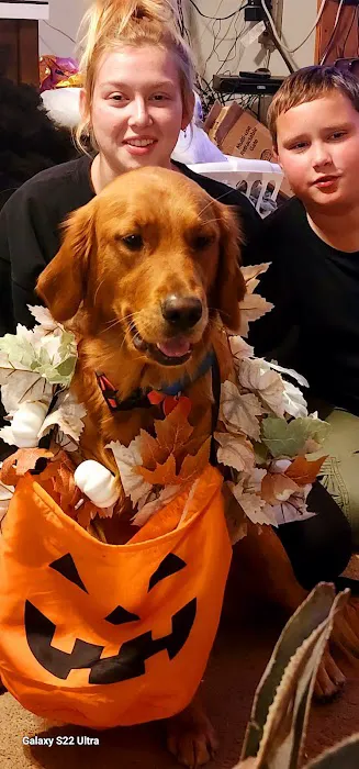 Ft Recovery Veterinary Center 5