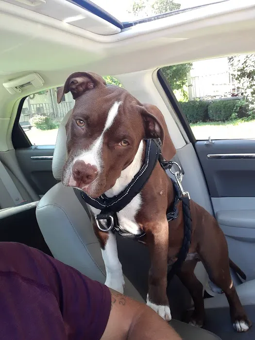 Ft Recovery Veterinary Center 7