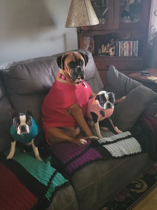 Ft Recovery Veterinary Center 6