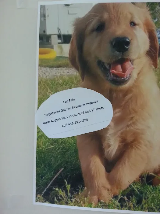 Coldwater Animal Clinic 1