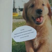 Coldwater Animal Clinic ico