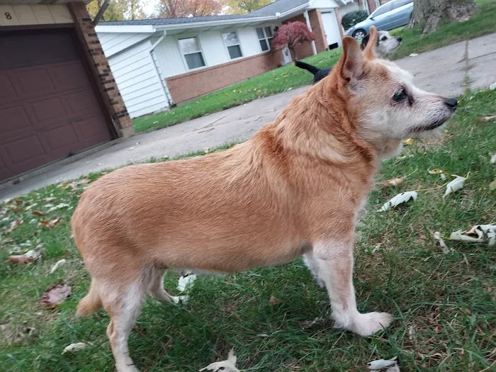 Coldwater Animal Clinic 3