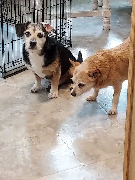 Coldwater Animal Clinic 2