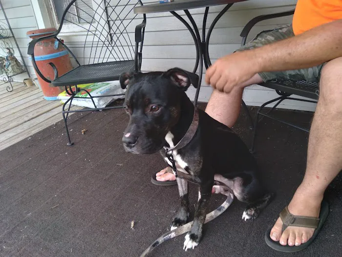 Coldwater Animal Clinic 5