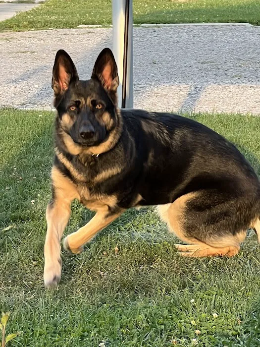 Coldwater Animal Clinic 4
