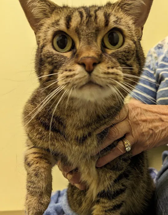 Green Valley Veterinary Care 12