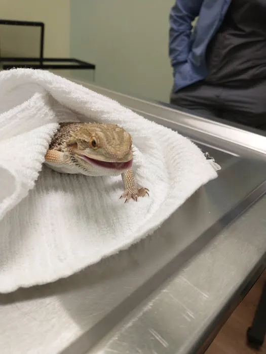 Green Valley Veterinary Care 12