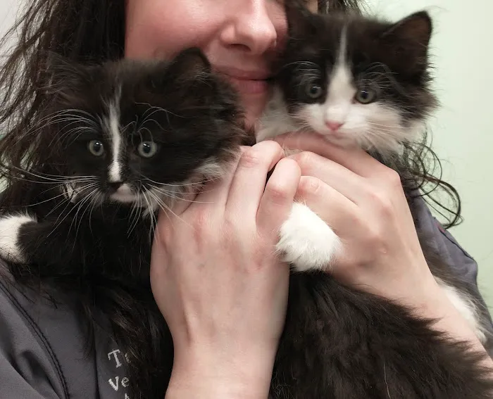 Green Valley Veterinary Care 12