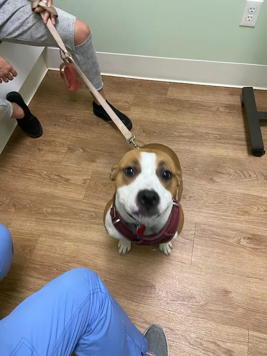 Green Valley Veterinary Care 12