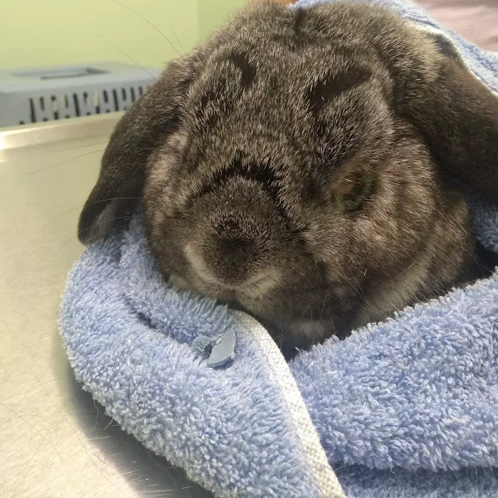 Green Valley Veterinary Care 12