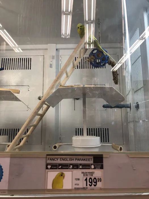 Petco 2