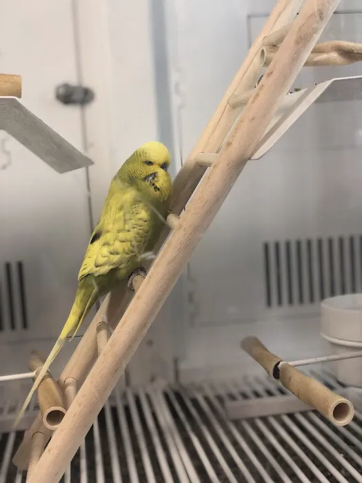 Petco 6