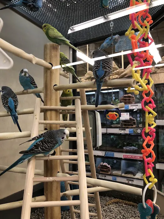 Petco 10