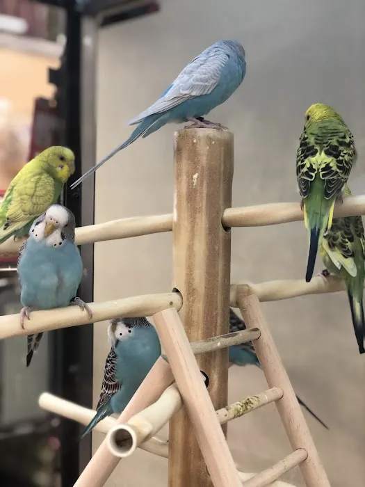 Petco 8