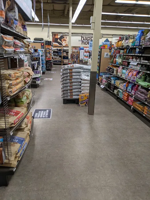Petco 1