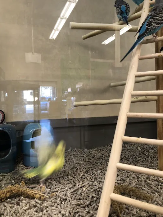Petco 7