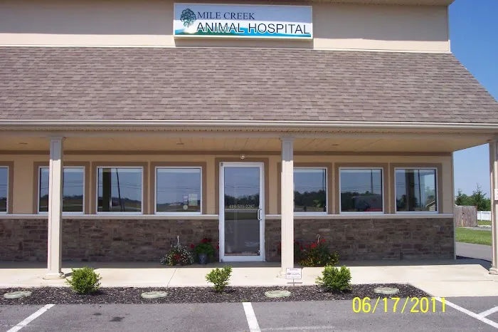 Mile Creek Animal Hospital 12