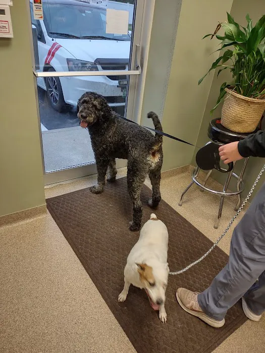 Mile Creek Animal Hospital 12