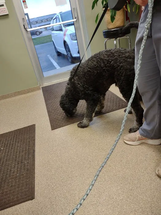 Mile Creek Animal Hospital 12