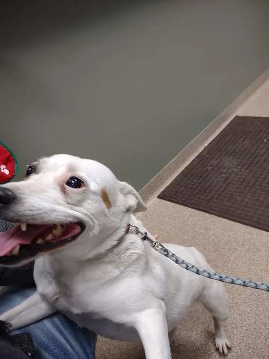Mile Creek Animal Hospital 12