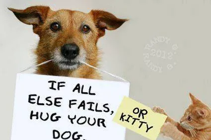 Mile Creek Animal Hospital 12