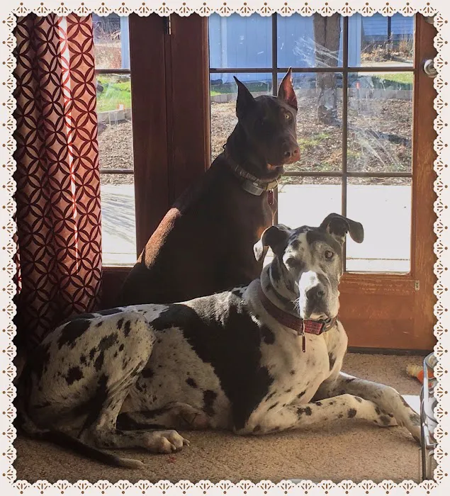 Tri-County Veterinary Service 12