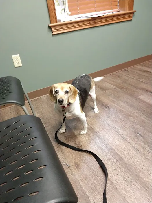 Tri-County Veterinary Service 12