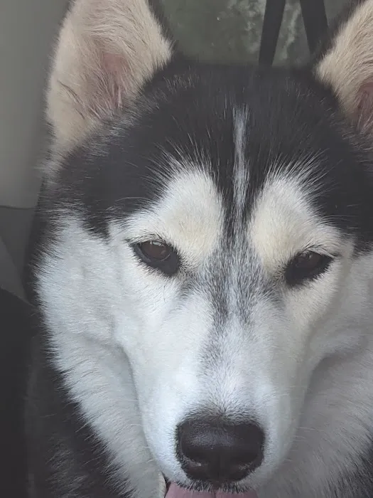 Tri-County Veterinary Services: Mack Andy DVM 3