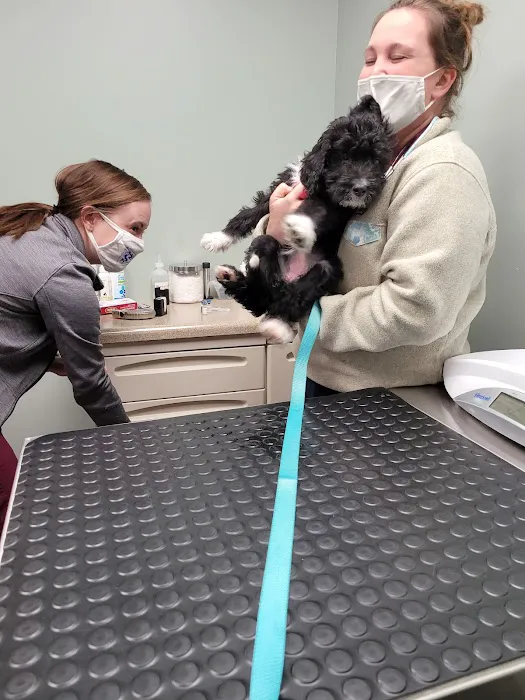 Tri-County Veterinary Services: Mack Andy DVM 2