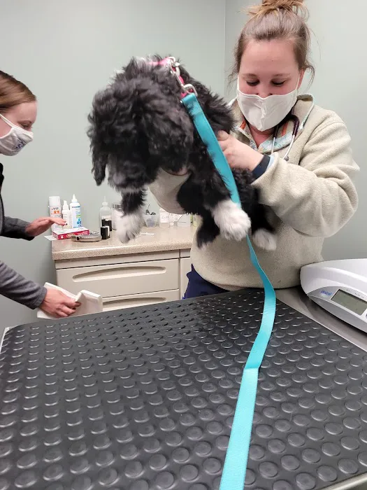 Tri-County Veterinary Services: Mack Andy DVM 1