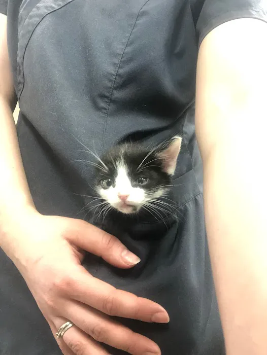 Chickasaw Veterinary Center 3
