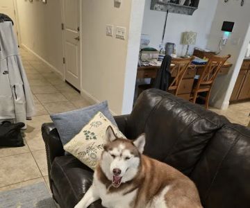 WAGGERS
