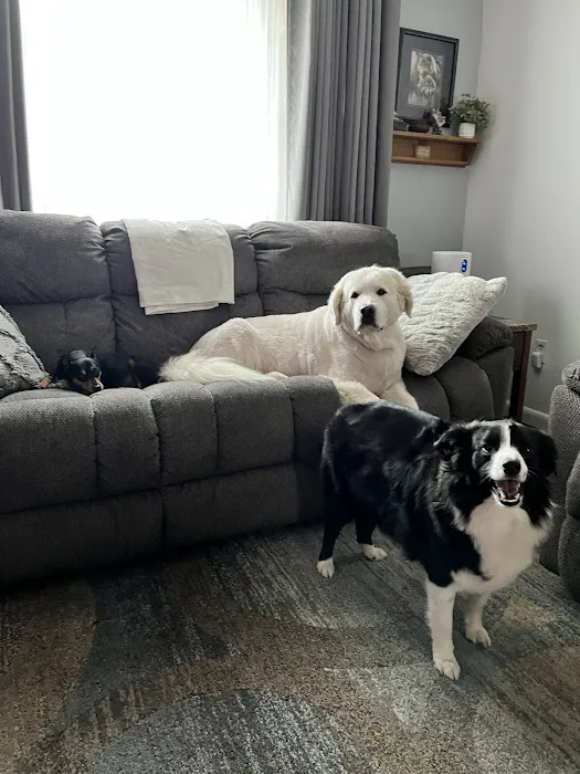 Troy Animal Hospital 12