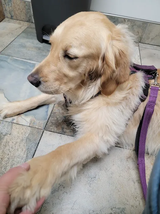 Troy Animal Hospital 12