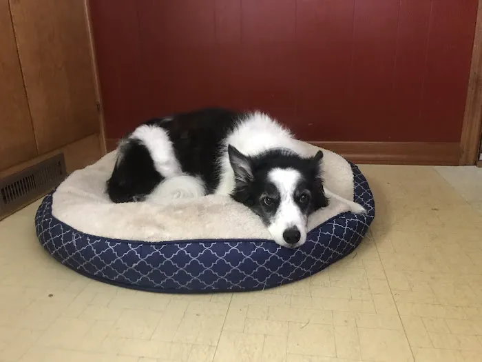 Miami Acres Animal Hospital 12