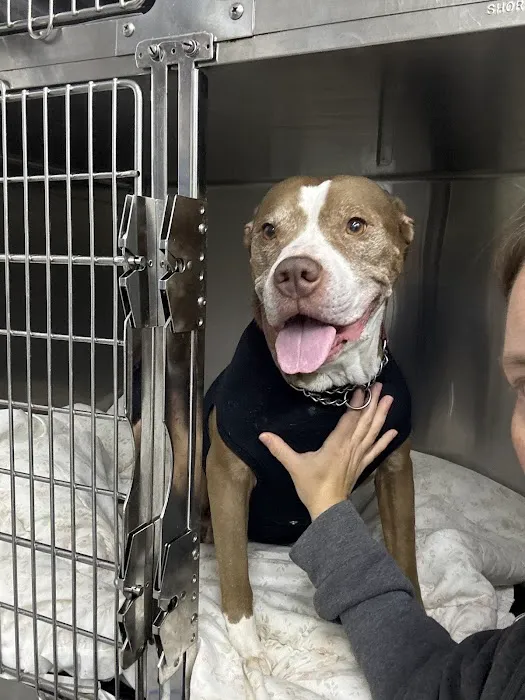 Animal Clinic of Troy 12