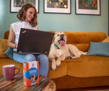 SparklyPets - Online Pet Store