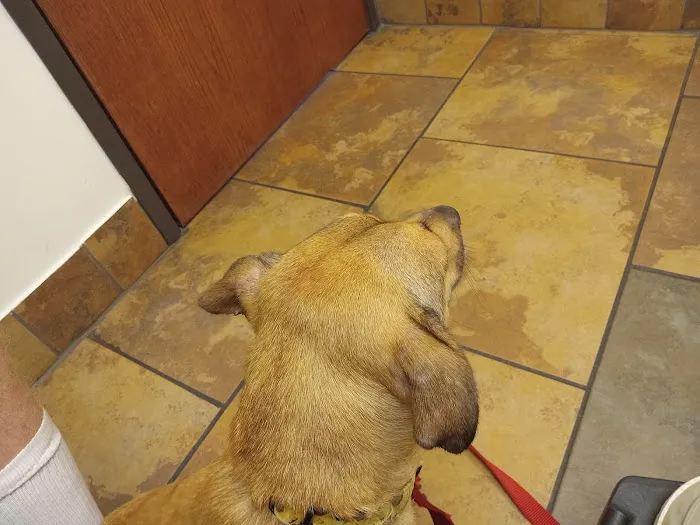 Community Veterinary Clinic 12