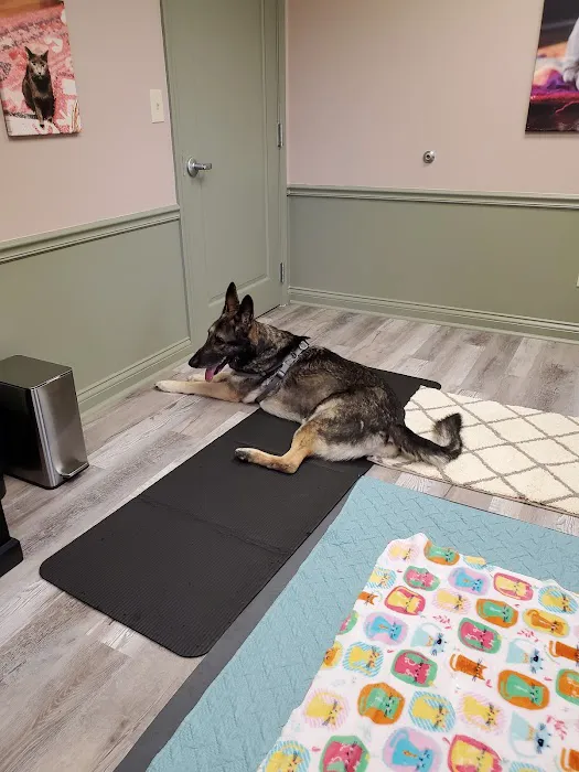 Dr. Jo's Pet Wellness and Acupuncture 12