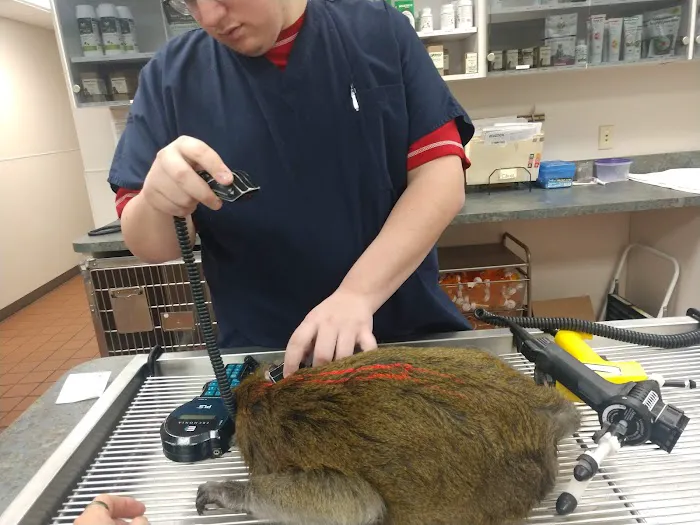 Stonyridge Veterinary Service, A Thrive Pet Healthcare Partner 12
