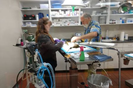 Stonyridge Veterinary Service, A Thrive Pet Healthcare Partner