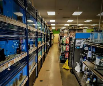 Petco