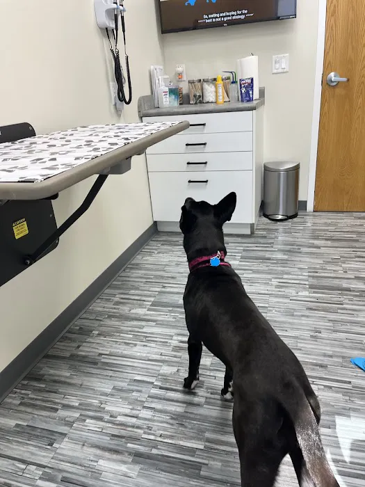 Tipp City Veterinary Hospital 12