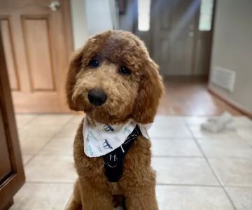 Tipp City Veterinary Hospital