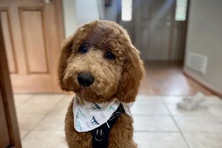 Tipp City Veterinary Hospital