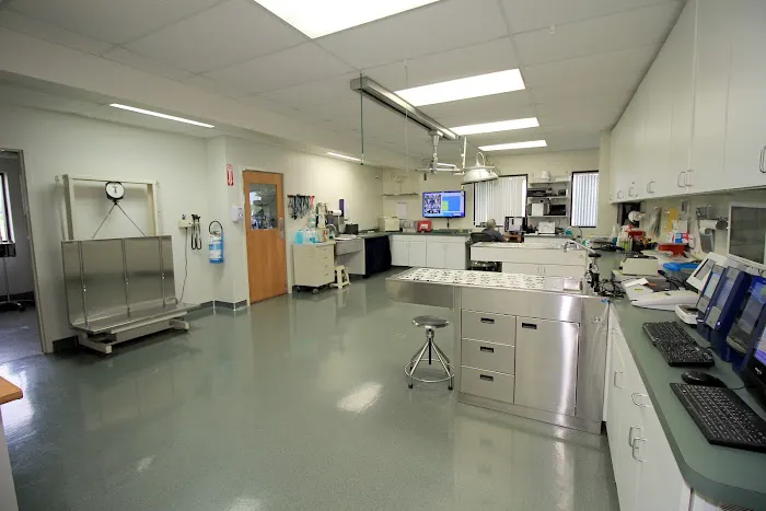 Tipp City Veterinary Hospital 12