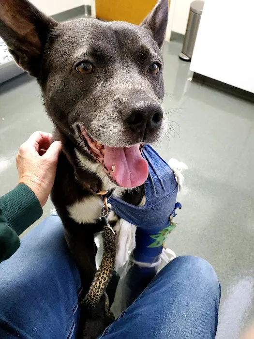 Tipp City Veterinary Hospital 12